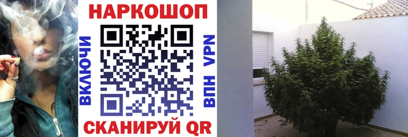 Купить Лесосибирск Гашиш  blacksprut tor  Меф  Бошки Шишки  СОЛЬ 