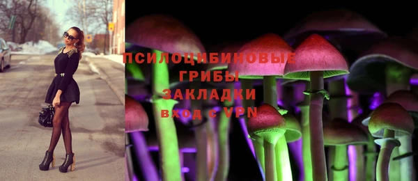 индика Баксан