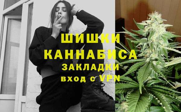 индика Баксан