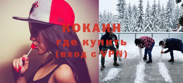индика Баксан