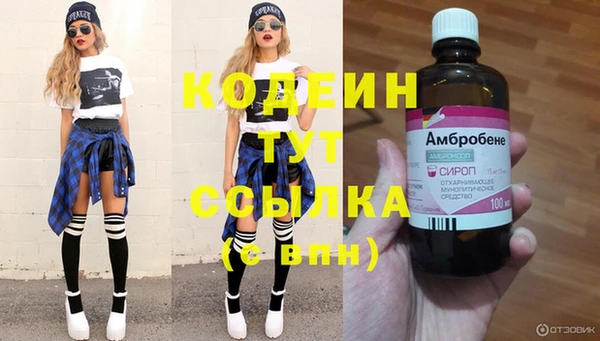 индика Баксан